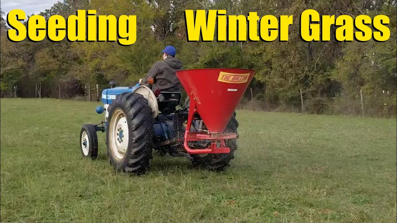 Basics of Winter Grass (Rye Grass, Clover, Etc...)