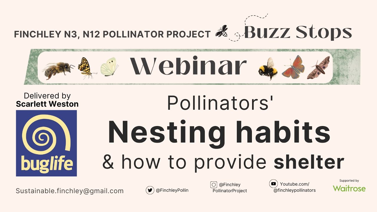 Pollinators' nesting habits, providing shelter to bees, butterflies, hoverflies. Rewilding Gardens