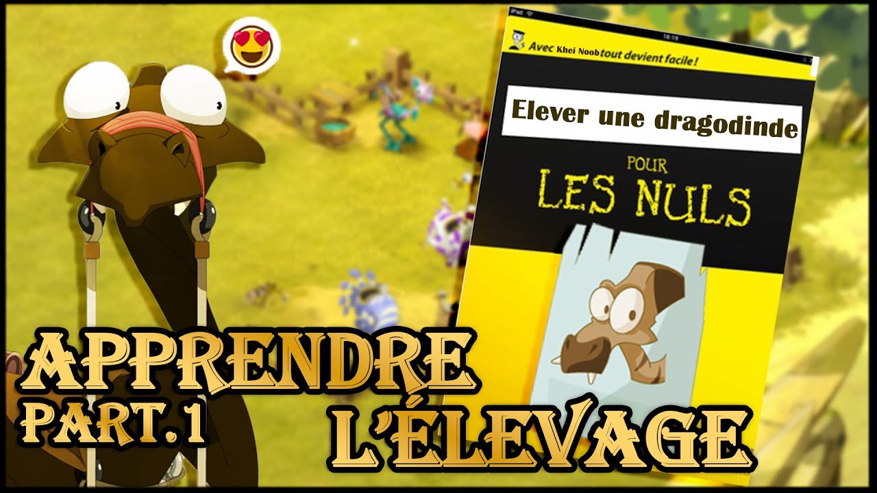 Apprendre l'élevage pour les noob Partie 1 - DOFUS Touch
