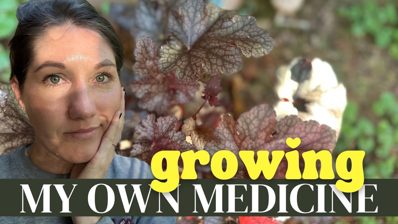 💊 or 🌱? Can You GROW Your Own Medicine?