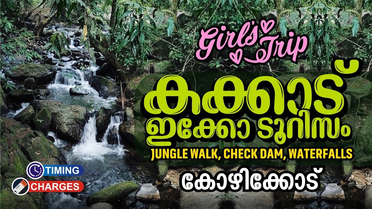കോഴിക്കോട്ടെ അടിപൊളി ഫോറസ്റ്റ് വാക്&zwnj; I Kakkad Eco Tourism Engapuzha I Kozhikode Tourist Places