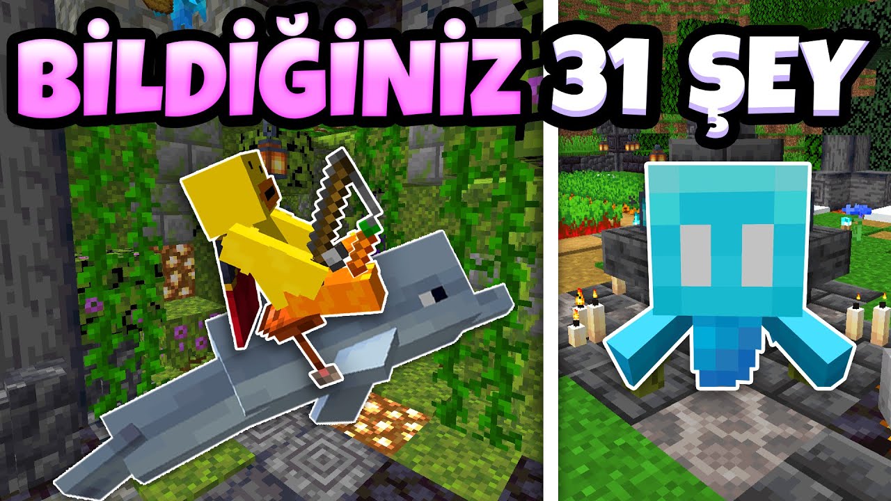 ASLA İşinize Yaramayacak 31 Bilgi