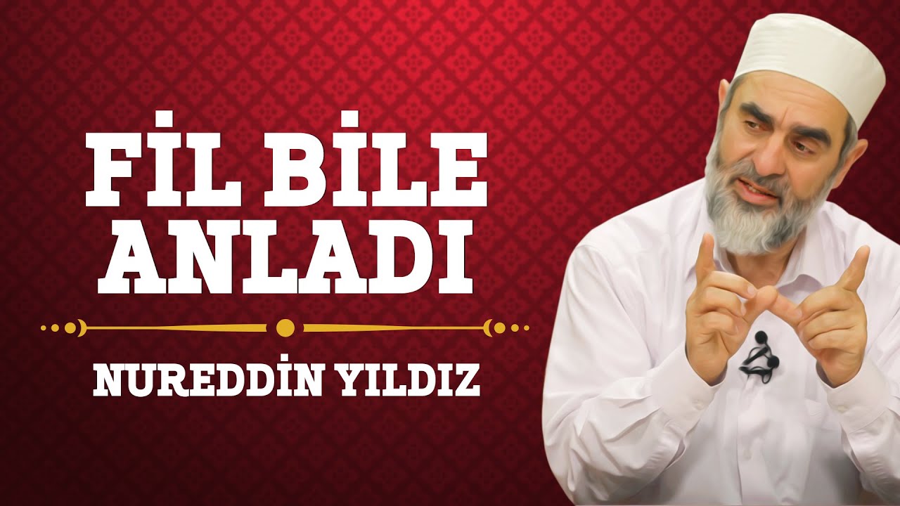 41) Fil Bile Anladı - Nureddin Yıldız - (Hayat Rehberi) - Sosyal Doku Vakfı