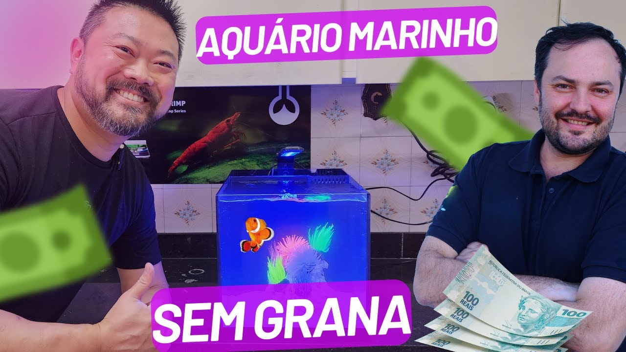 Montamos um aquário marinho sem grana ! Sim, é possível !