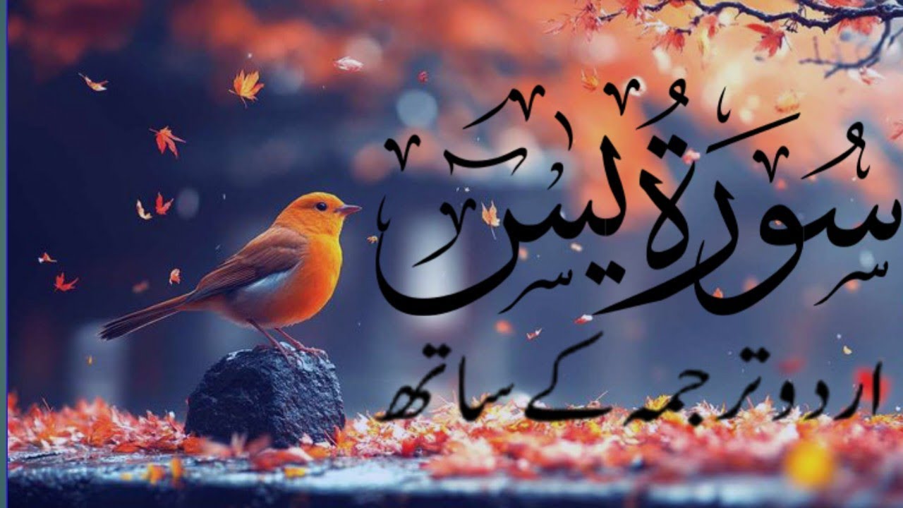 surah yasin |سورۃ یس| surah yaseen | _EP_000206_surah yaseen ki tilawat Full