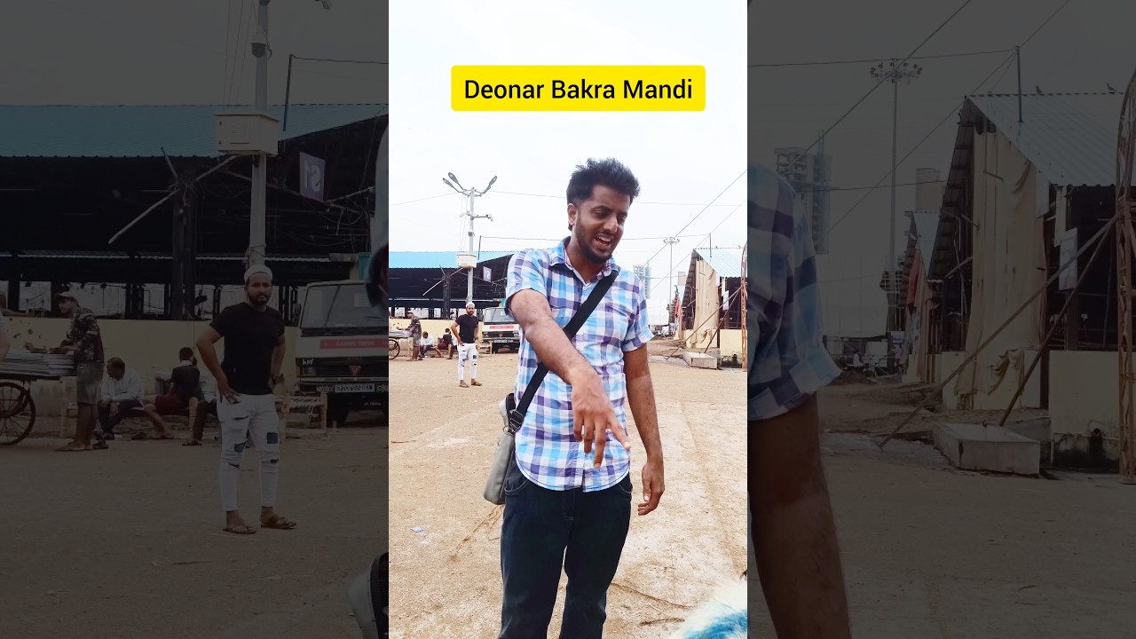 Iski sing tuti hai check karke lena acche se | halal bhai | deonar bakra mandi 2025
