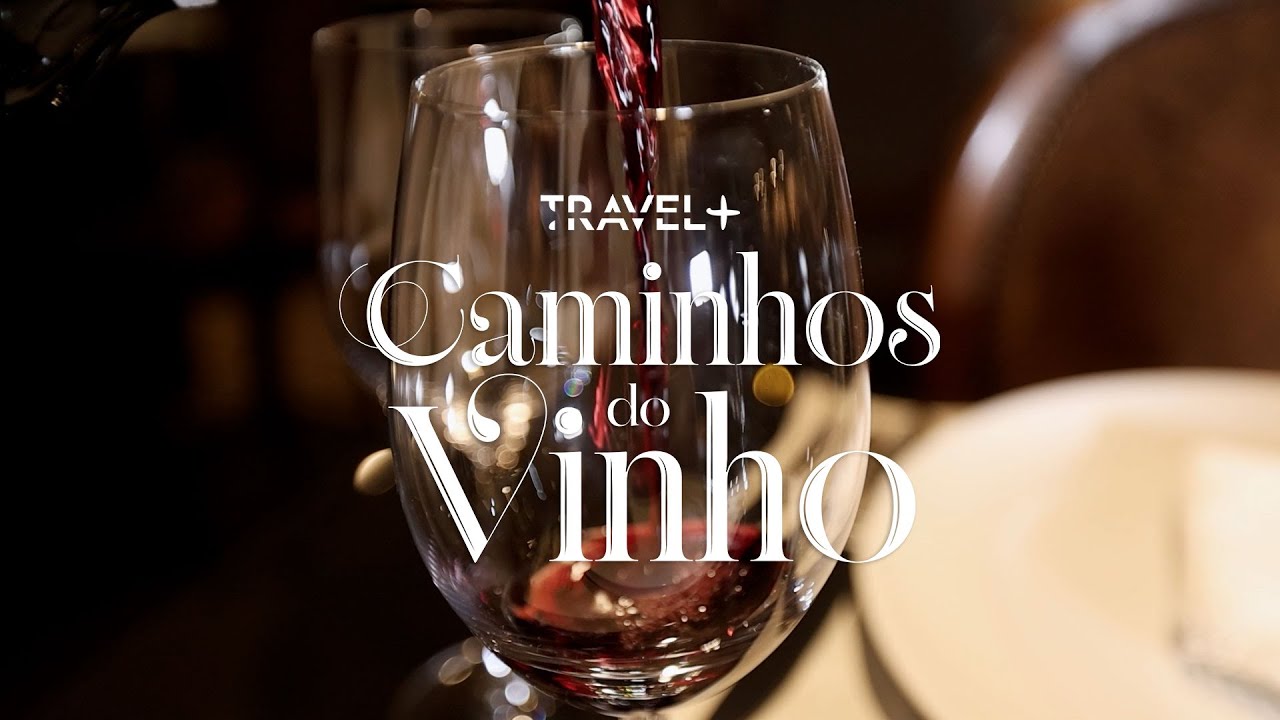 Caminhos do Vinho - Entre História e Inovação