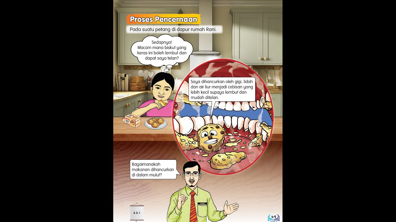 Sains Tahun 3 Proses Pencernaan