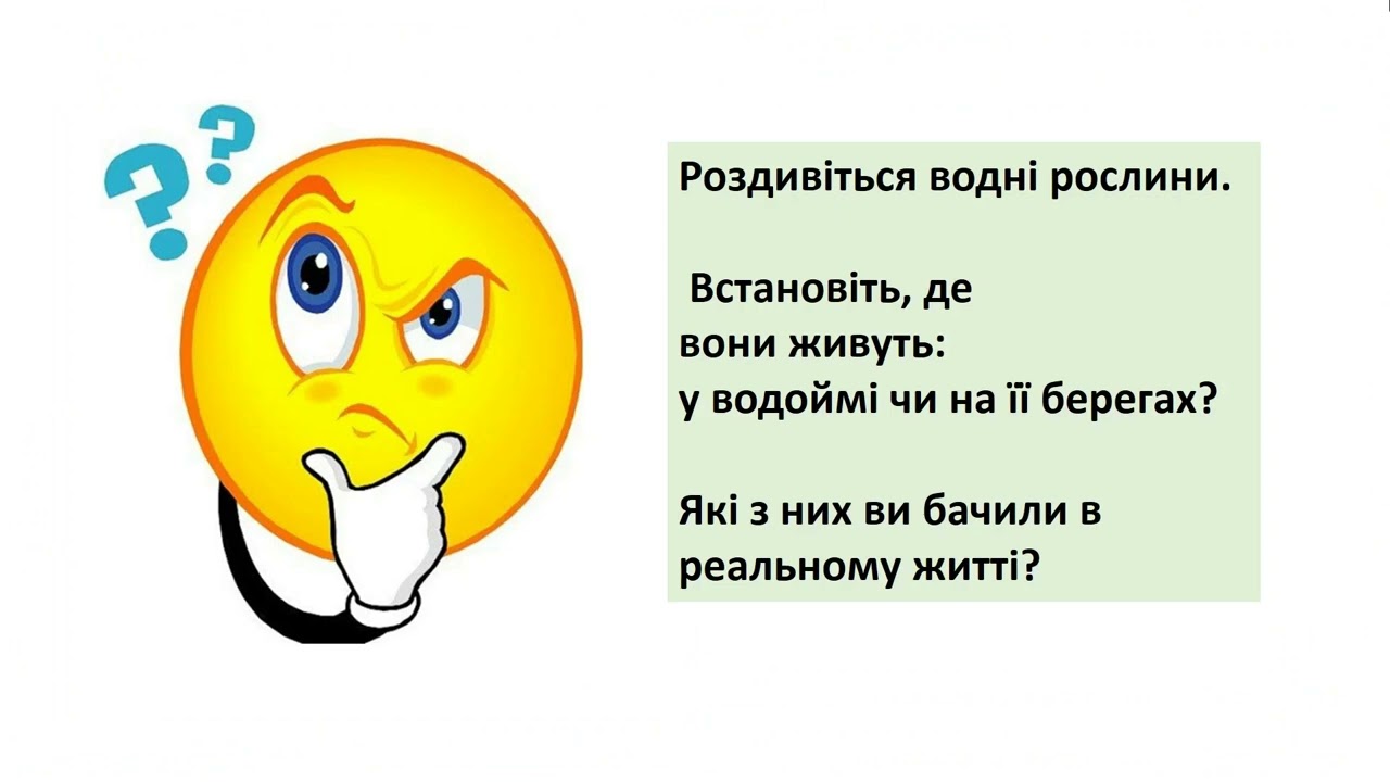 Які рослини заселили водойми та їх береги
