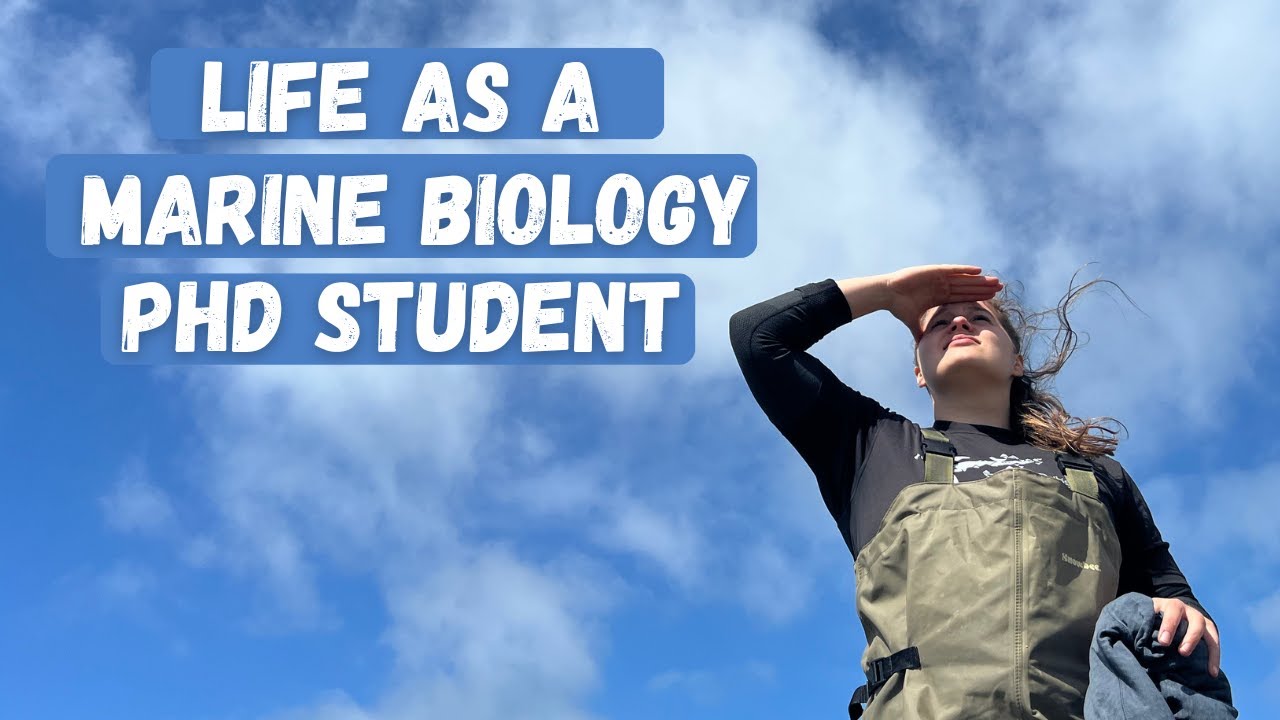 Life as a marine biology PhD student // Campus vibes, lab visit & teaching // PhD Vlog #2