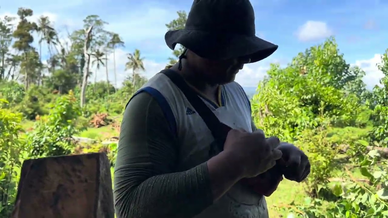 Galuega Pa Povi 🇼🇸❤️Faafetai le Atua mo le Malosi faatinoina ai feau ma galuega 💪🏽🇼🇸