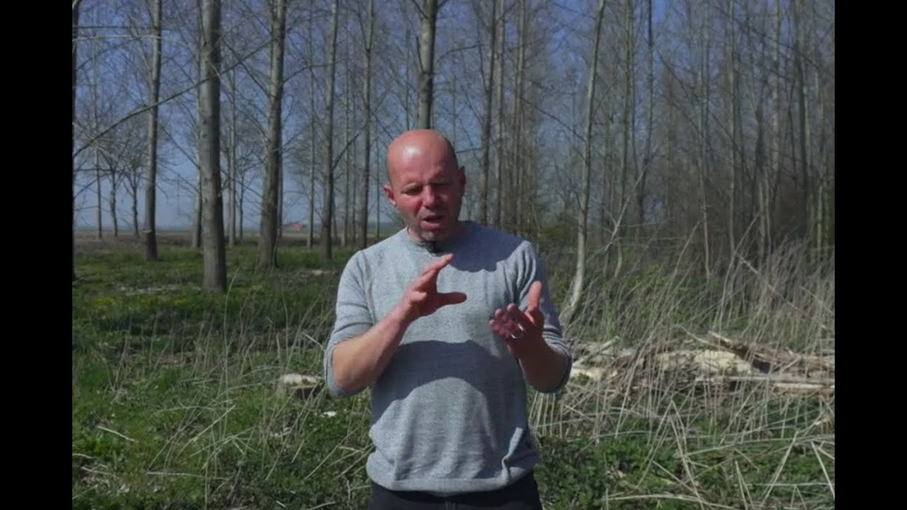 Misverstanden over houtskeletbouw