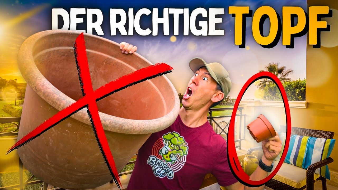Darauf musst du achten 😨 dieser TOPF passt zu dir! Anzucht und Anbau f&uuml;r Anf&auml;nger