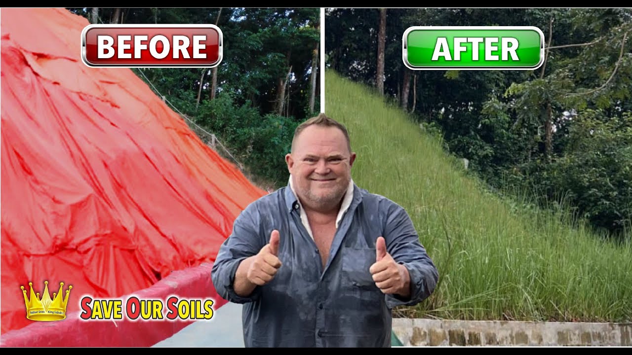 Bioengineering Vetiver Grass for Landslide Stabilization with Vetiver Technology&nbsp;Solutions&copy; 9.6.2023