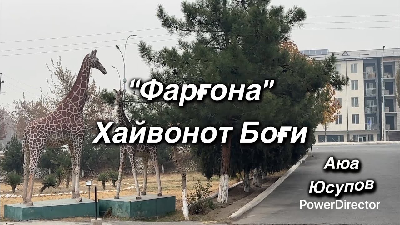 Фарғона “Хайвонот Боғи” 2025 Ноябрь. ”Ферганский Зоопарк” Farg’ona “Hayvonot Bog’i” 2025 Noyabr.