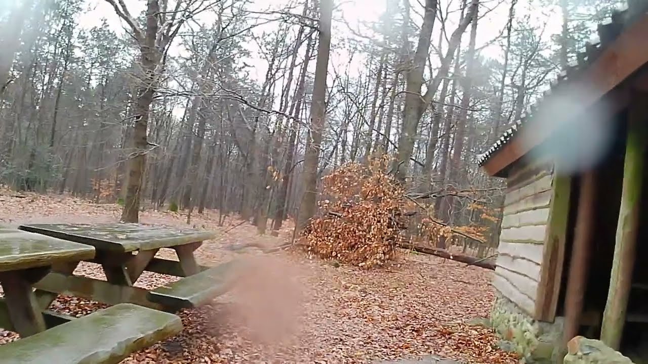 Even schuilen bos Nieuw Buinen