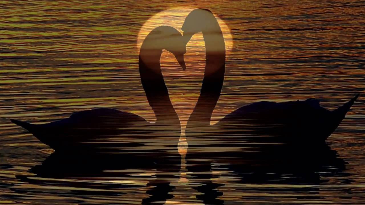 If You Love Me (Really Love Me) - Brenda Lee.avi