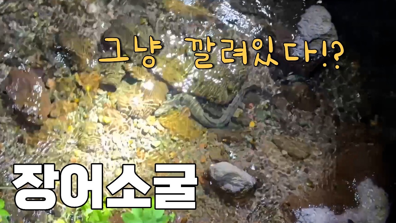 외장하드 소환?! 너무나 뜨거웠던, 우리의 여름! feat.민물장어