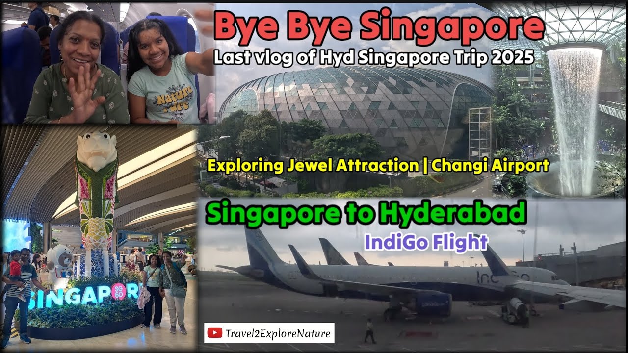 Last vlog from Singapore 2025 Trip | Indigo Flight | Changi Airport Jewel Attraction