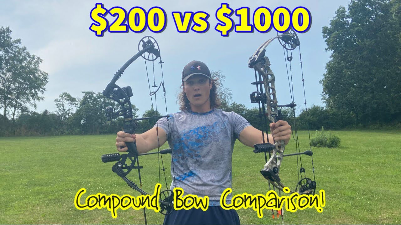 CHEAP vs EXPENSIVE Compound Bow!!! Which is Better???