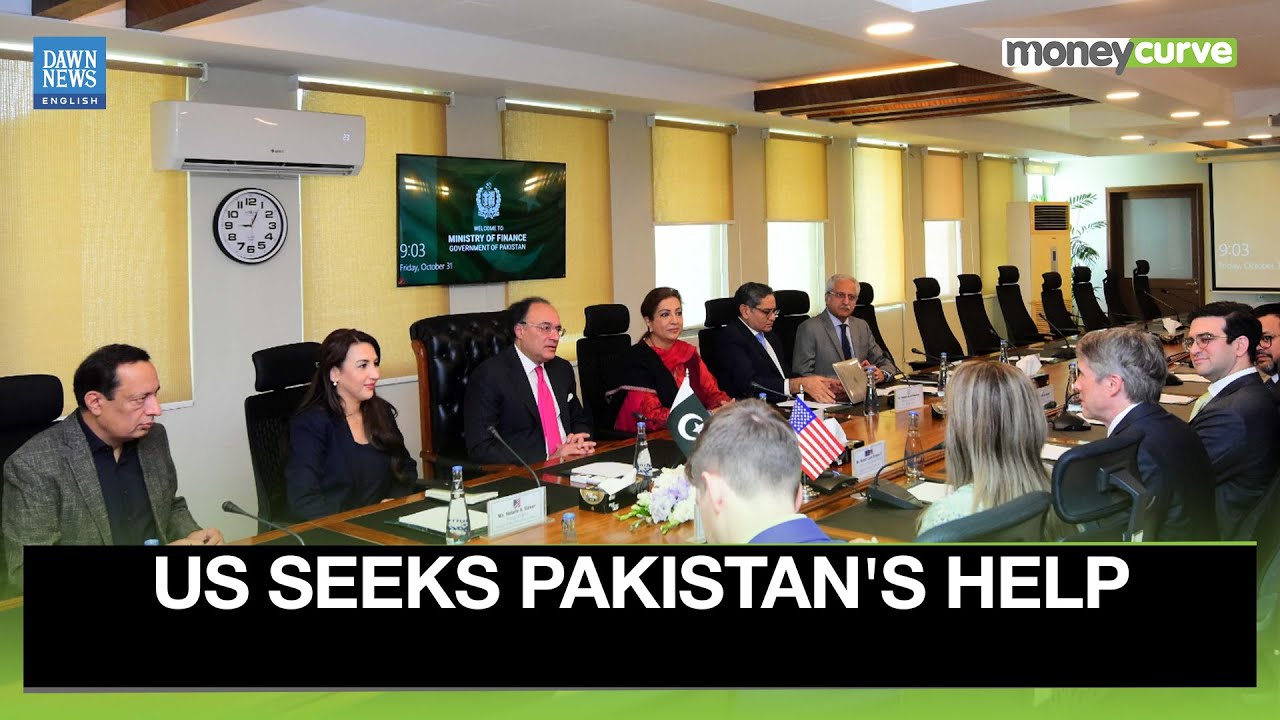 US Seeks Pakistan&rsquo;s Help To Balance China&rsquo;s Mineral Grip | Dawn News English