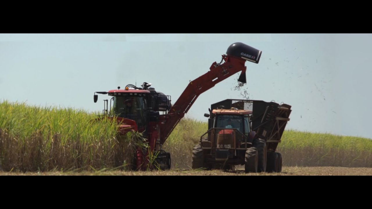 Behind the Wheel: “Simply The Best” – 75 Years Of Mechanized Sugar Cane Harvesting