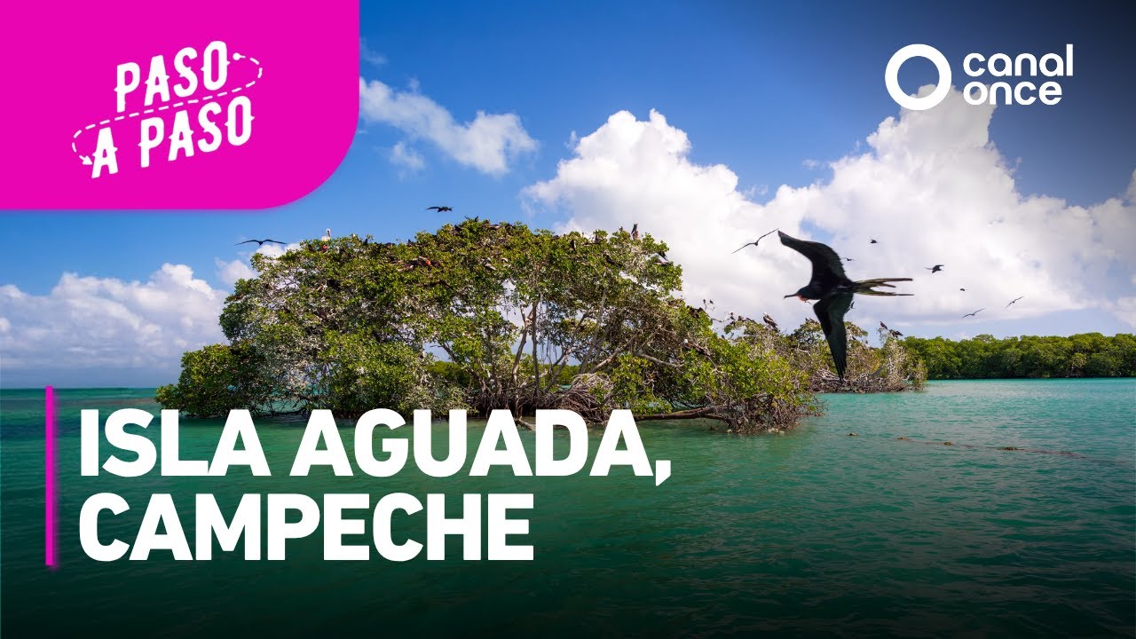 Paso a paso - Isla Aguada, Campeche