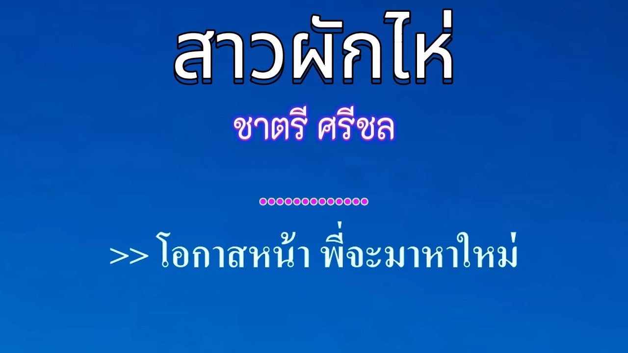 ♬สาวผักไห่ ชาตรี ศรีชล remix #karaoke #คาราโอเกะ