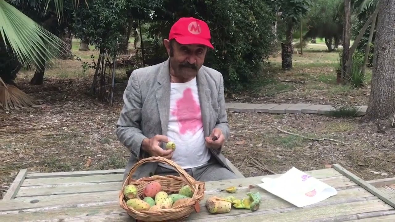 Tore Mitraglia ci insegna come raccogliere e mangiare i fichi d'india