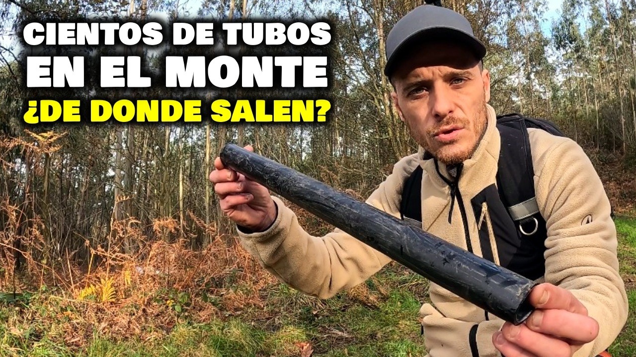 La TRISTE REALIDAD de los MONTES de ASTURIAS