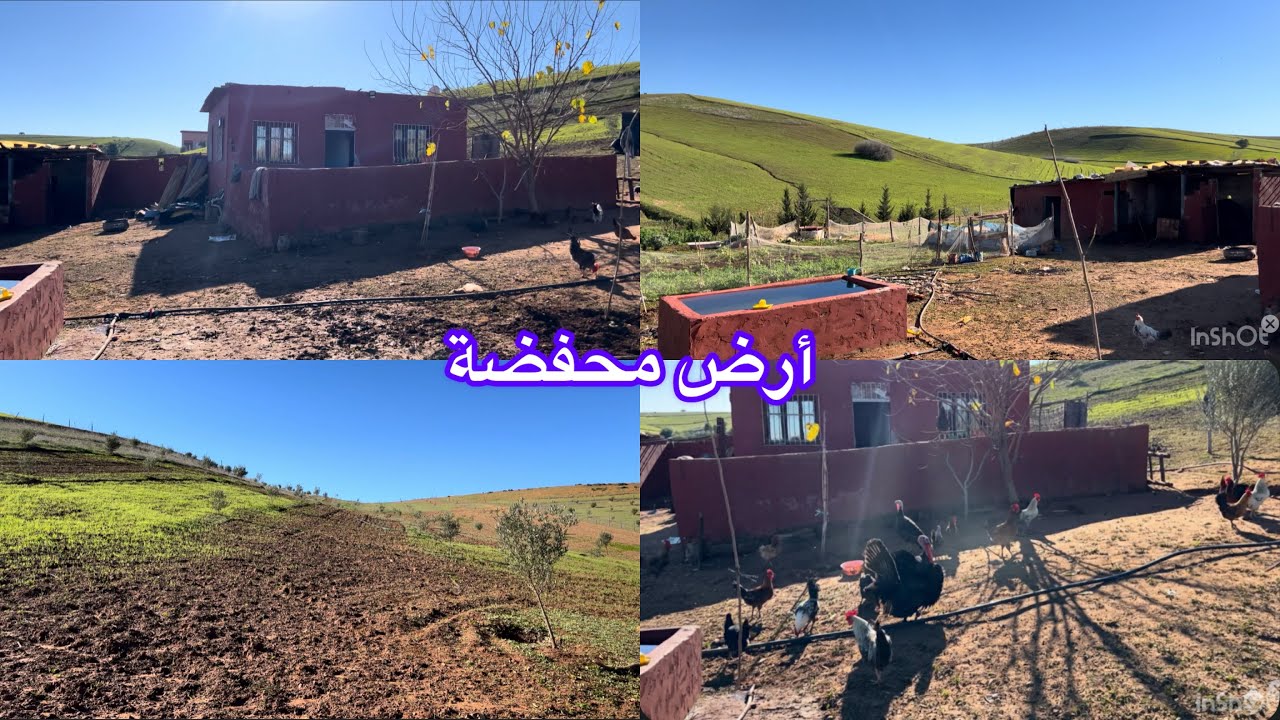 ارض فلاحيّة مساحتها قطار ونصف محفظة وفيها الدار و البئر والكوري نواحي الخميسات ايت عبو