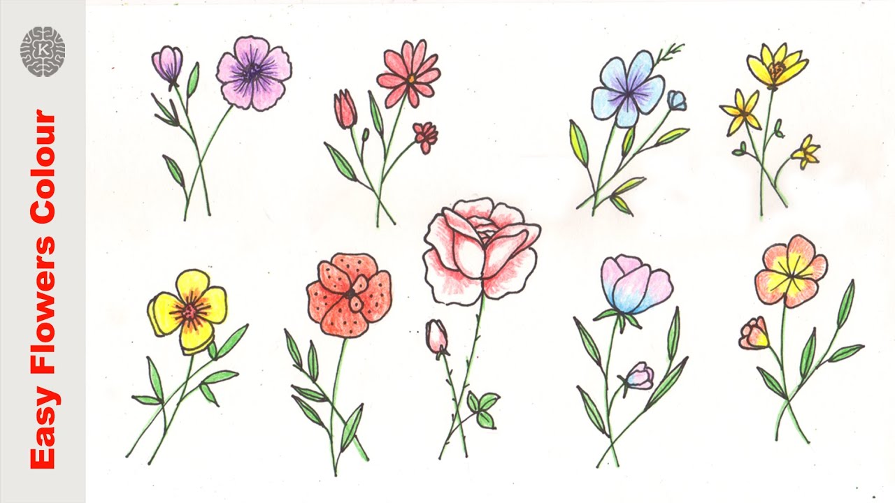 How to draw flower  step by step very easy Different flowers drawing  Draw step by step  Part 2