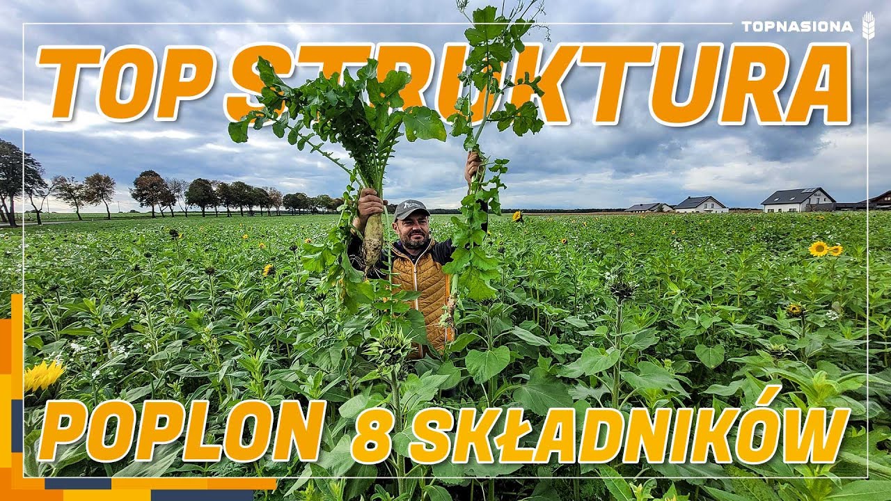 Co na poplon? | Top Struktura 🌿 8 składników w mieszance | Top Nasiona