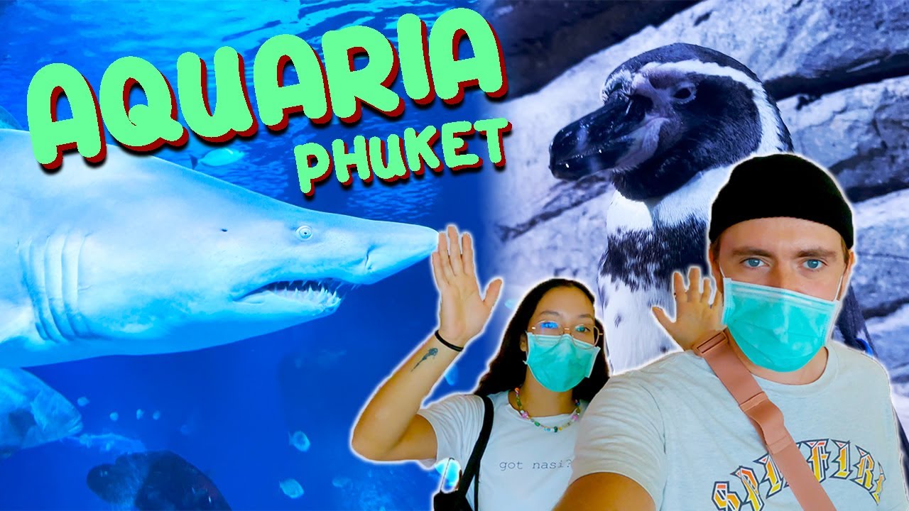 Thailand's BIGGEST Aquarium! - Aquaria Phuket