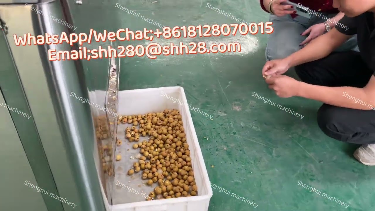 Longan seed removal machine/Cherry pitter/Date pitting machine/manufacturer offer directly 