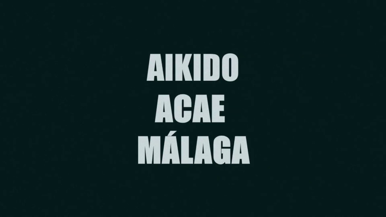 Aikido ACAE M&aacute;laga - Momentos de la pr&aacute;ctica