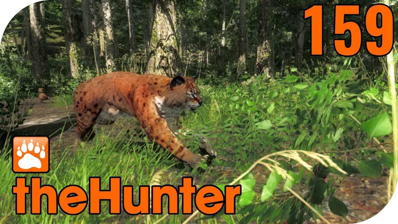 THE HUNTER CLASSIC #159 - DER LUCHS IST DA! 🐗 || Let's Play The Hunter || German