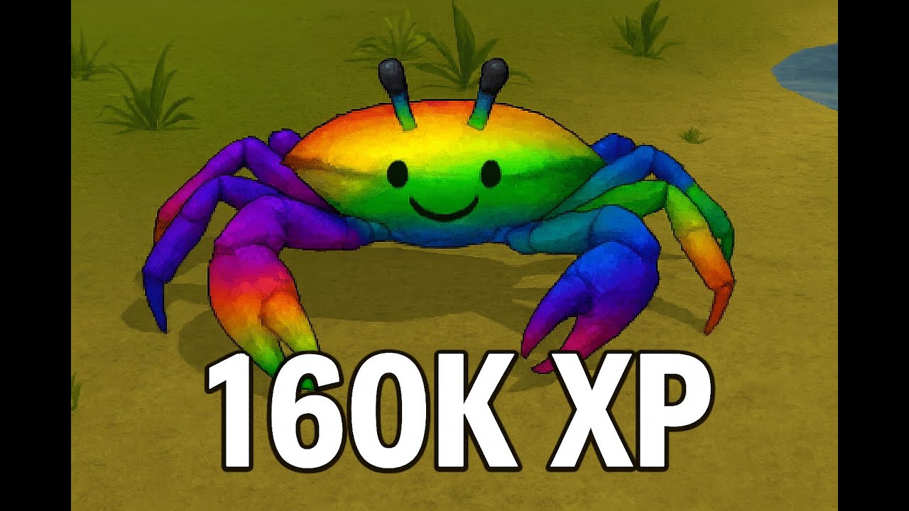 INSANE 160K XP +/hr Hunter Training! Rainbow Crab Method Guide &ndash; OSRS Update