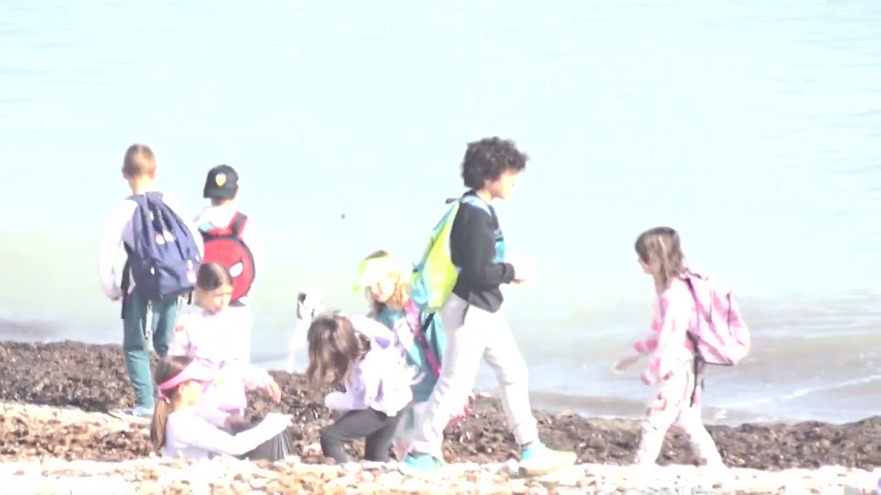 Escolares explorando y limpiando la Playa de la Almadrava de Els poblets I