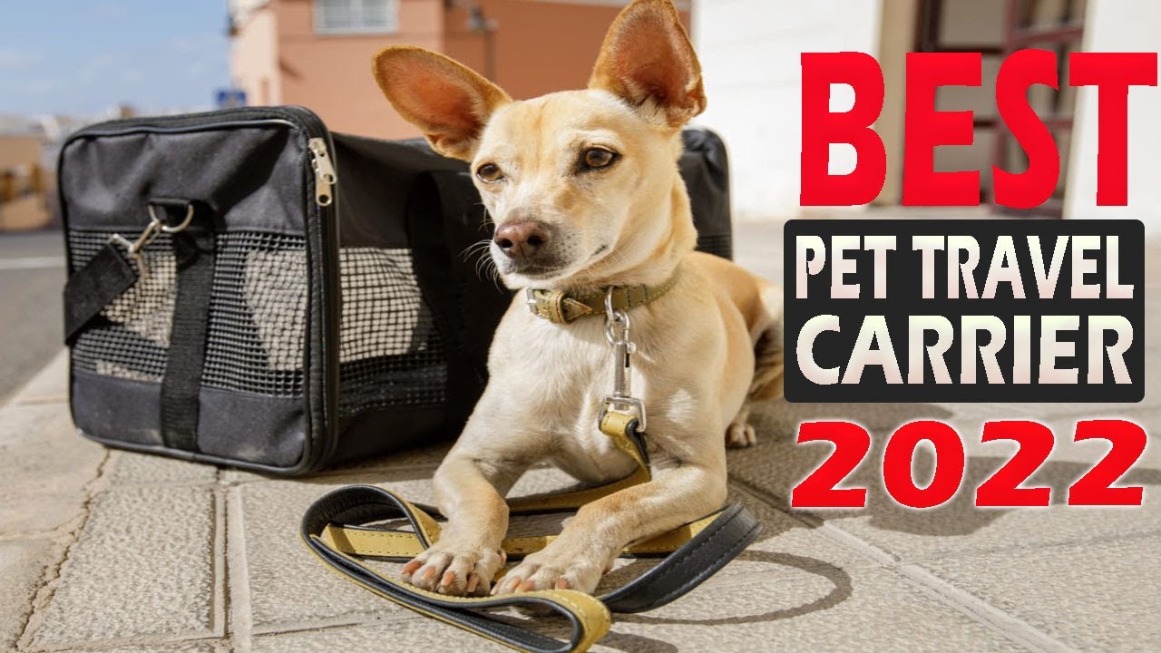 8 Best Pet Travel Carrier | Best Dog Travel Carrier 2022