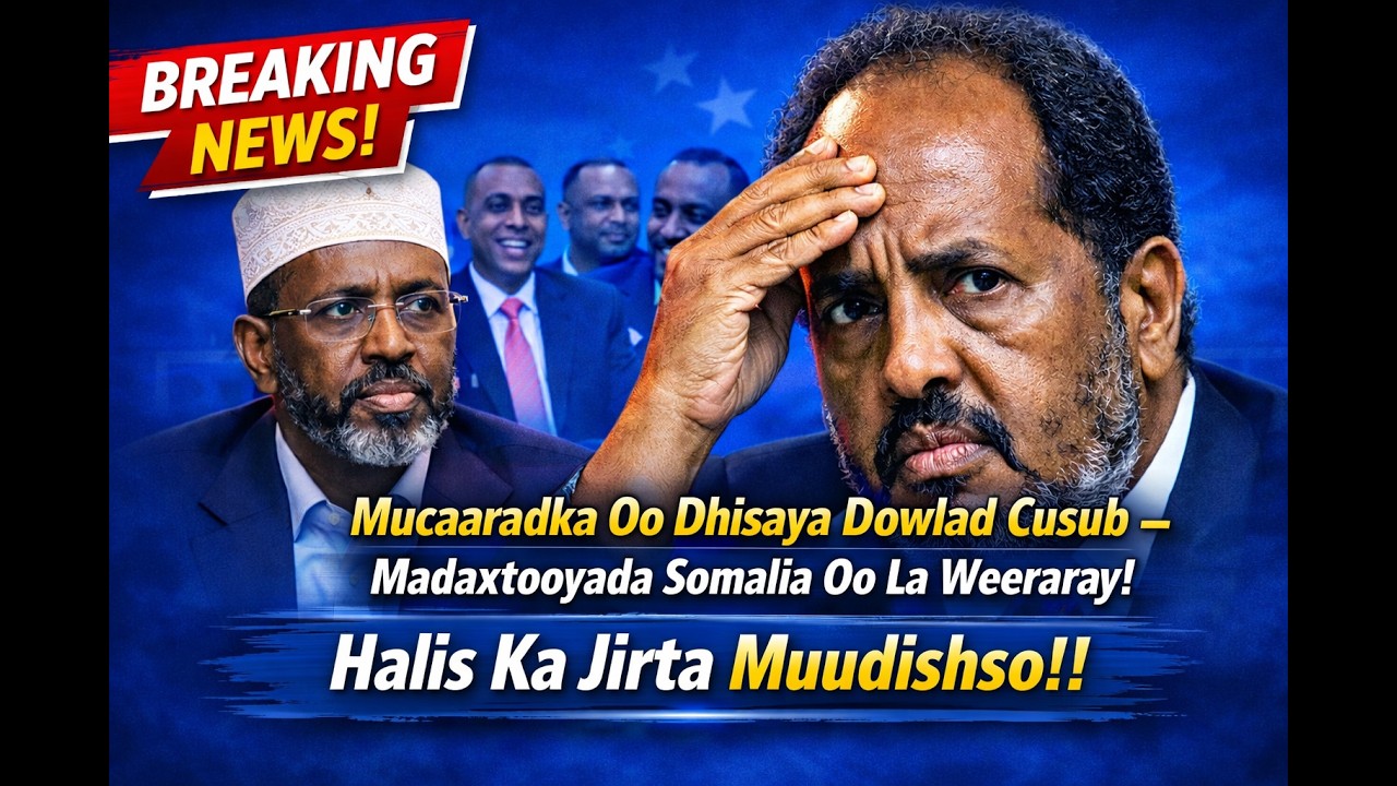 “Mucaaradka Oo Dhisaya Dowlad Cusub – Xasan Sheekh Oo La Weeraray!”