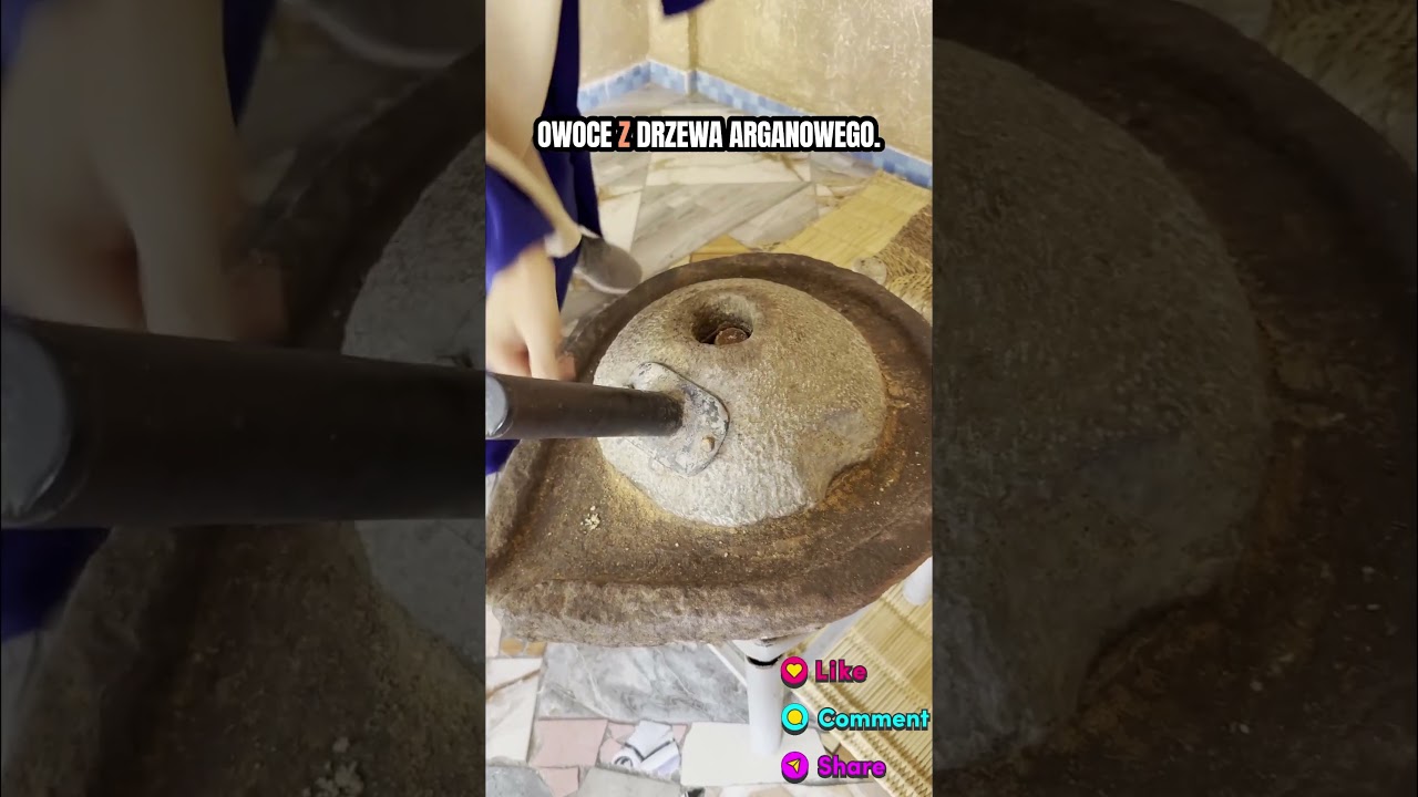 Prawda o oleju arganowym, o kt&oacute;rej mało kto m&oacute;wi