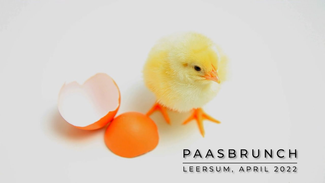 Paasbrunch 2022