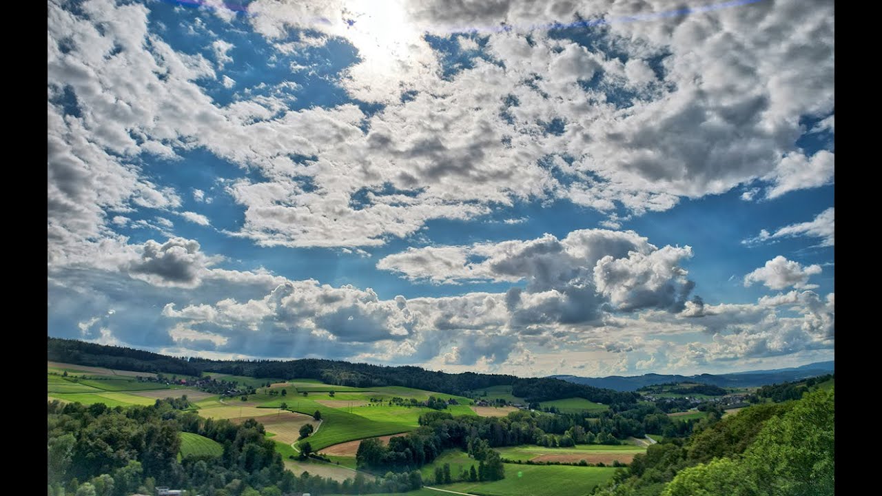 Weitwinkel- und Anamorphic-Linse von Freewell
