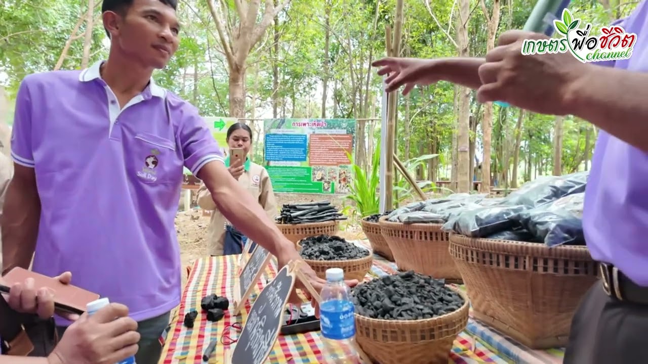 สุดยอดประยุกต์ใช้ถ่าน ไบโอชาร์ (Biochar) เพาะเชื้อเห็ด |ขยายเชื้อเห็ดป่า