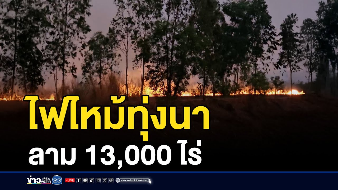 ไฟไหม้ทุ่งนาลาม 13,000 ไร่ สั่งระดมดับไฟวุ่น | ชงข่าวเขย่าจอ | 28 มกราคม 2569