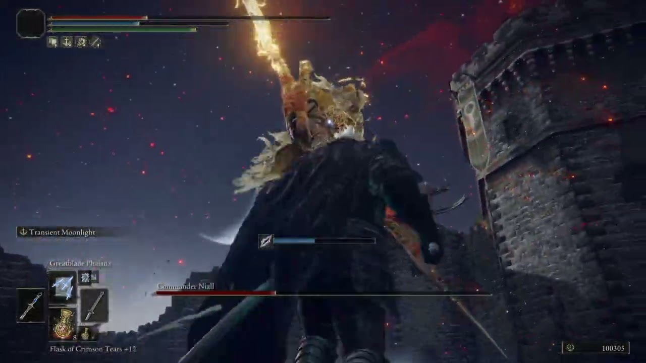 Vergil build vs Commander Niall