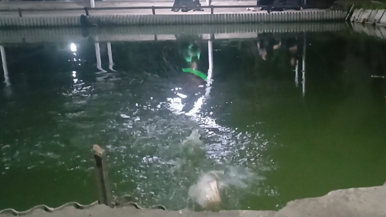 Mancing Ikan❗️STRATEGI CERDIK Di Saat Orang Mancing di Pinggir, Saya Lempar ke Tengah Bawal Nyambar