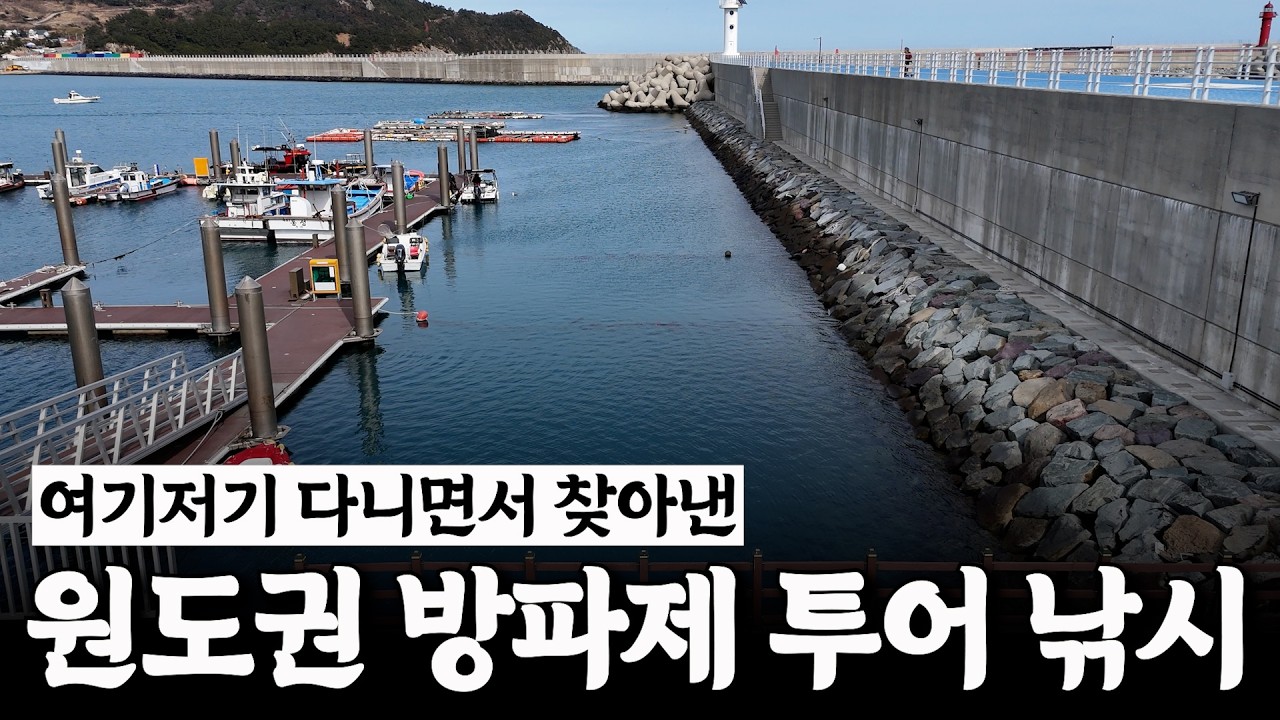 시원시원한 입질이 쏟아지는 섬 방파제 내항에서 낚시!! [박과장TV]