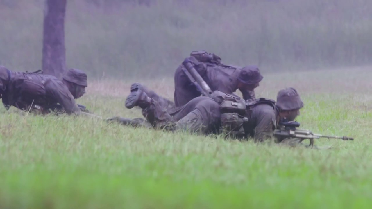 DEFENCE FORCE INTELLIGENCE CORP HD